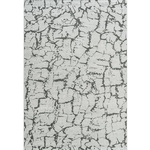 CA-R2021314102771