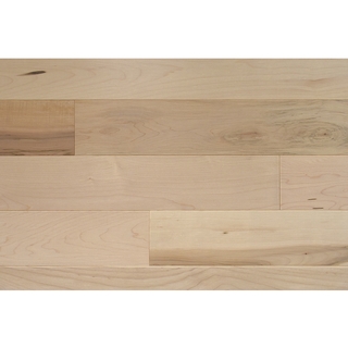 Maple - Bain de lumière