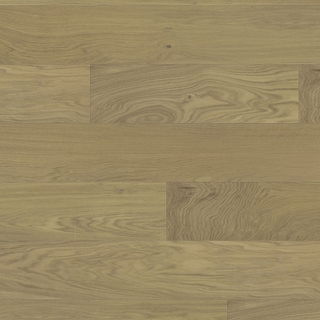 European white oak - Or ancien