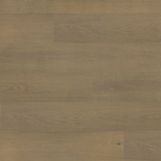 European white oak - Or de Tanger
