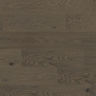 European white oak - Journée décoiffante