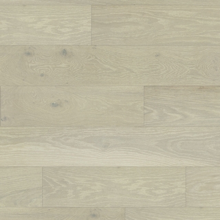 European white oak - Friche
