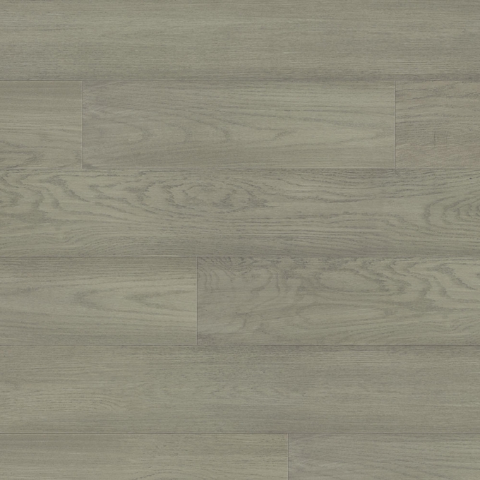 European white oak - Bosse de chameau