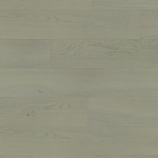 European white oak - Oreste