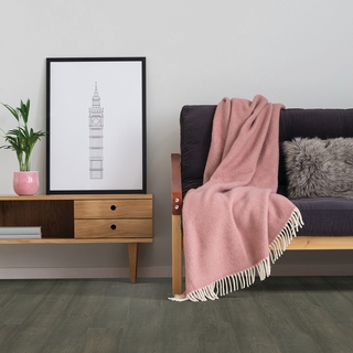 European white oak - Martin-pêcheur
