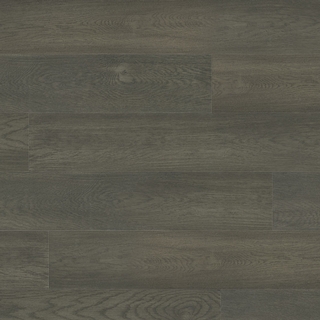 European white oak - Martin-pêcheur