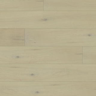 European white oak - Plage des naufragés