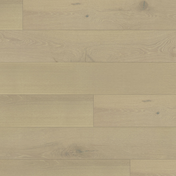 European white oak - Ville historique