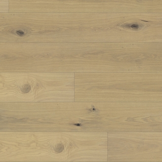 European white oak - Taffetas doré