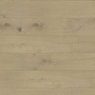 European white oak - Chemin poussiéreux