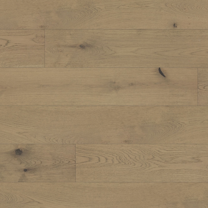 European white oak - Noble couronne