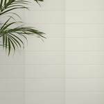 SBW-100300-IGF