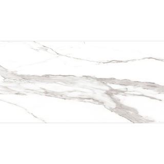 PA362.12X24