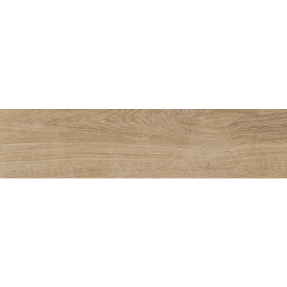 1560CTG006