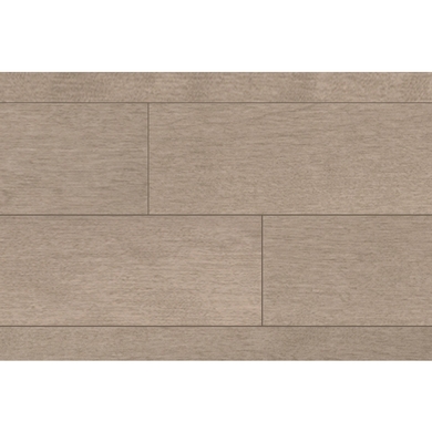 Birch - Terra Classique
